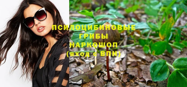 гашик Приозерск