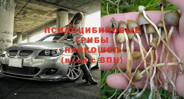 спиды Саки