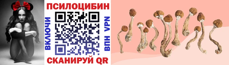 Галлюциногенные грибы Cubensis  Углегорск 